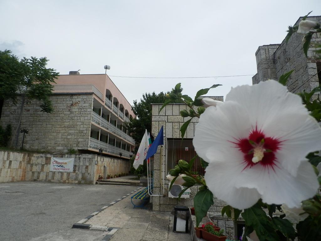Olimpia Supersnab Hotel Balchik Extérieur photo